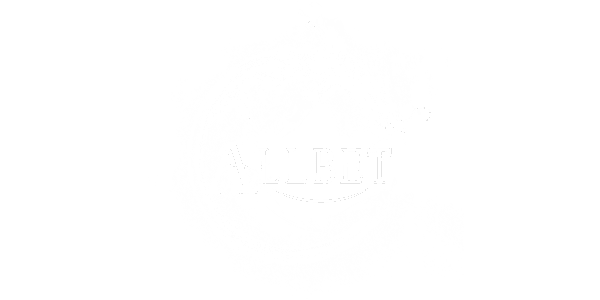넷엔트 logo